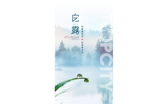 白露节气海报二十四节气海报