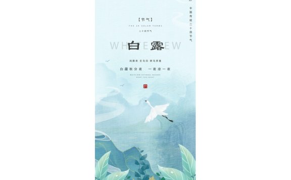 白露节气海报二十四节气海报