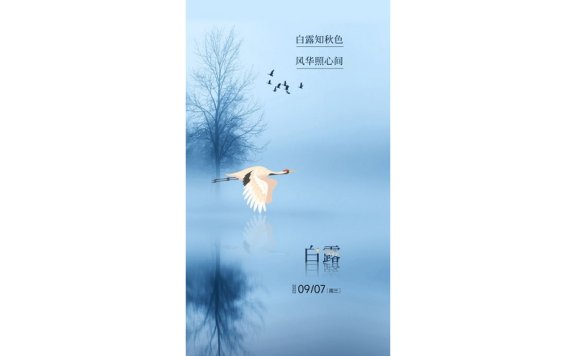 白露节气海报二十四节气海报