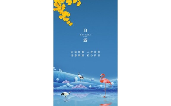 白露节气海报二十四节气海报