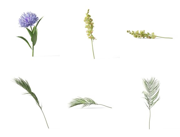 花卉素材植物素材免抠花卉免抠植物花卉元素超高清PNG花卉素材植物素材免抠花卉免抠植物花卉元素透明背景